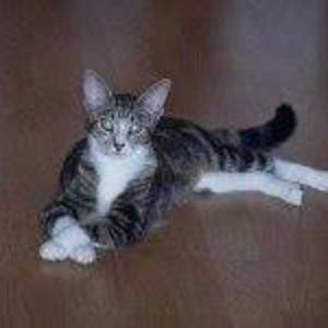 Meet your Posher, Jerri